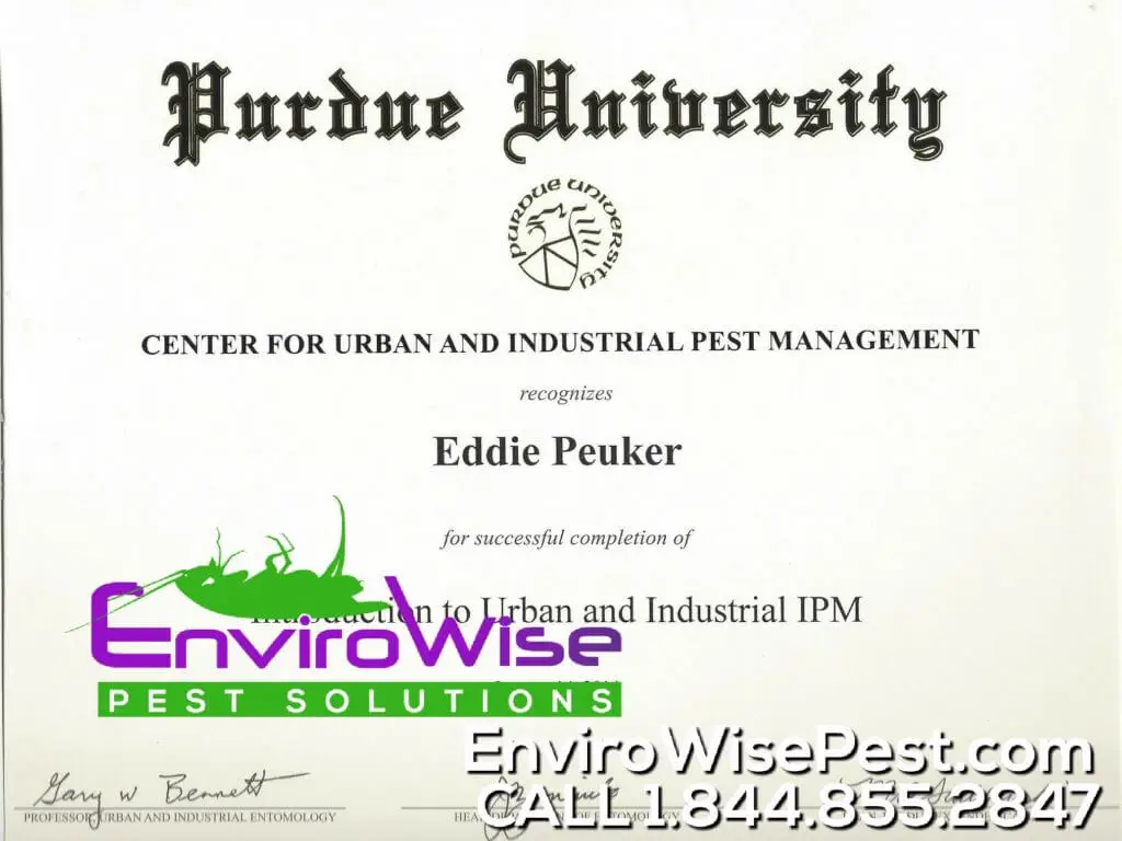 Image alt tag - site title