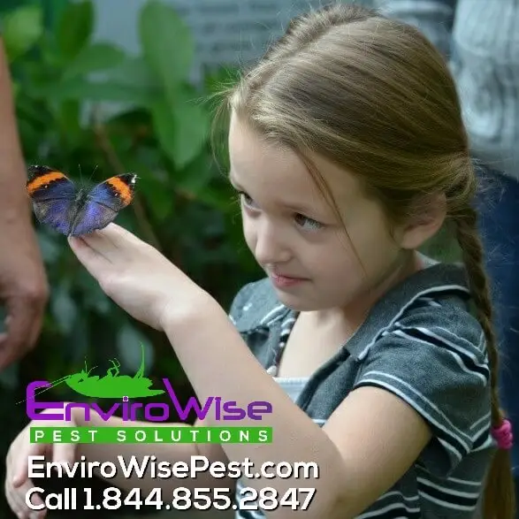 Image alt tag - site title