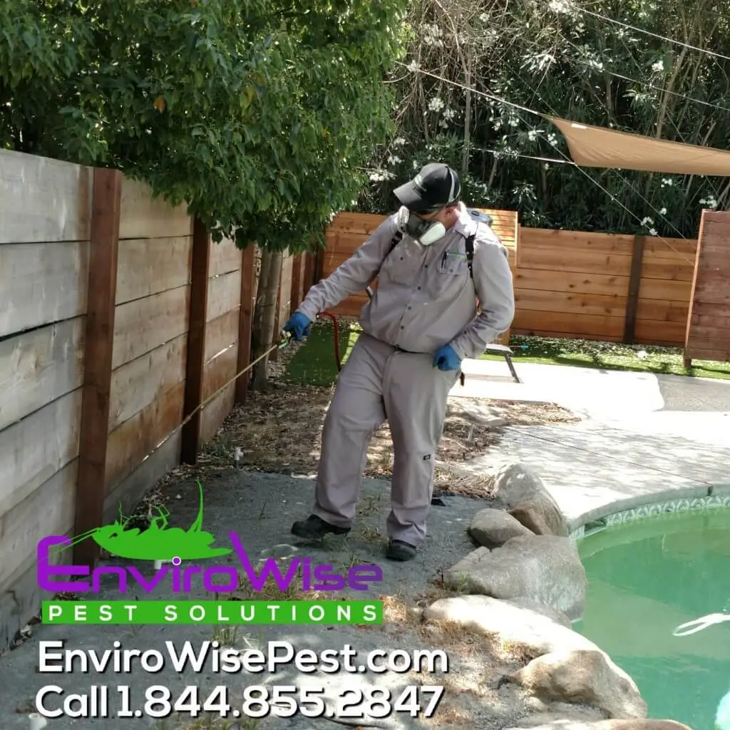 Image alt tag - site title