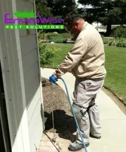 | Envirowise Pest Solutions Inc Envirowisetech Performing a Termite Treatment Image alt tag - site title