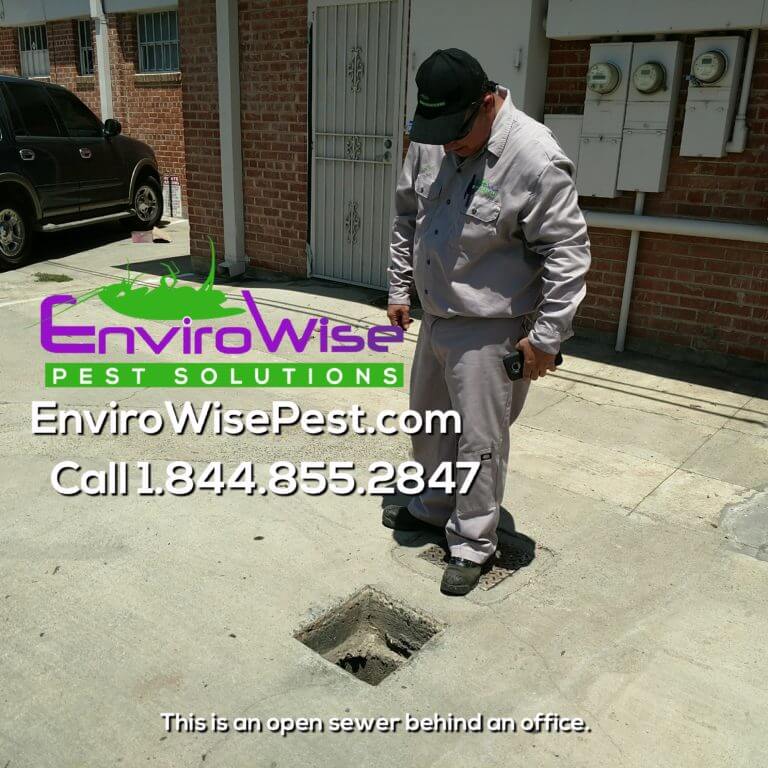 EnviroWise Pest Solutions Inspection 1