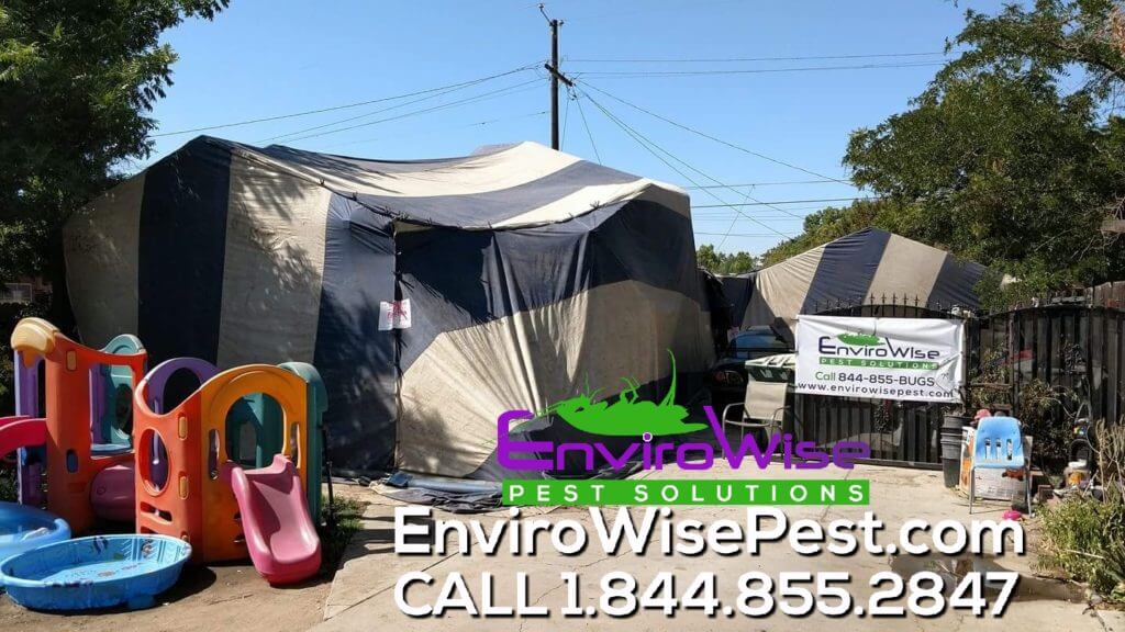 EnviroWise Pest Solutions Bed Bug Fumigation
