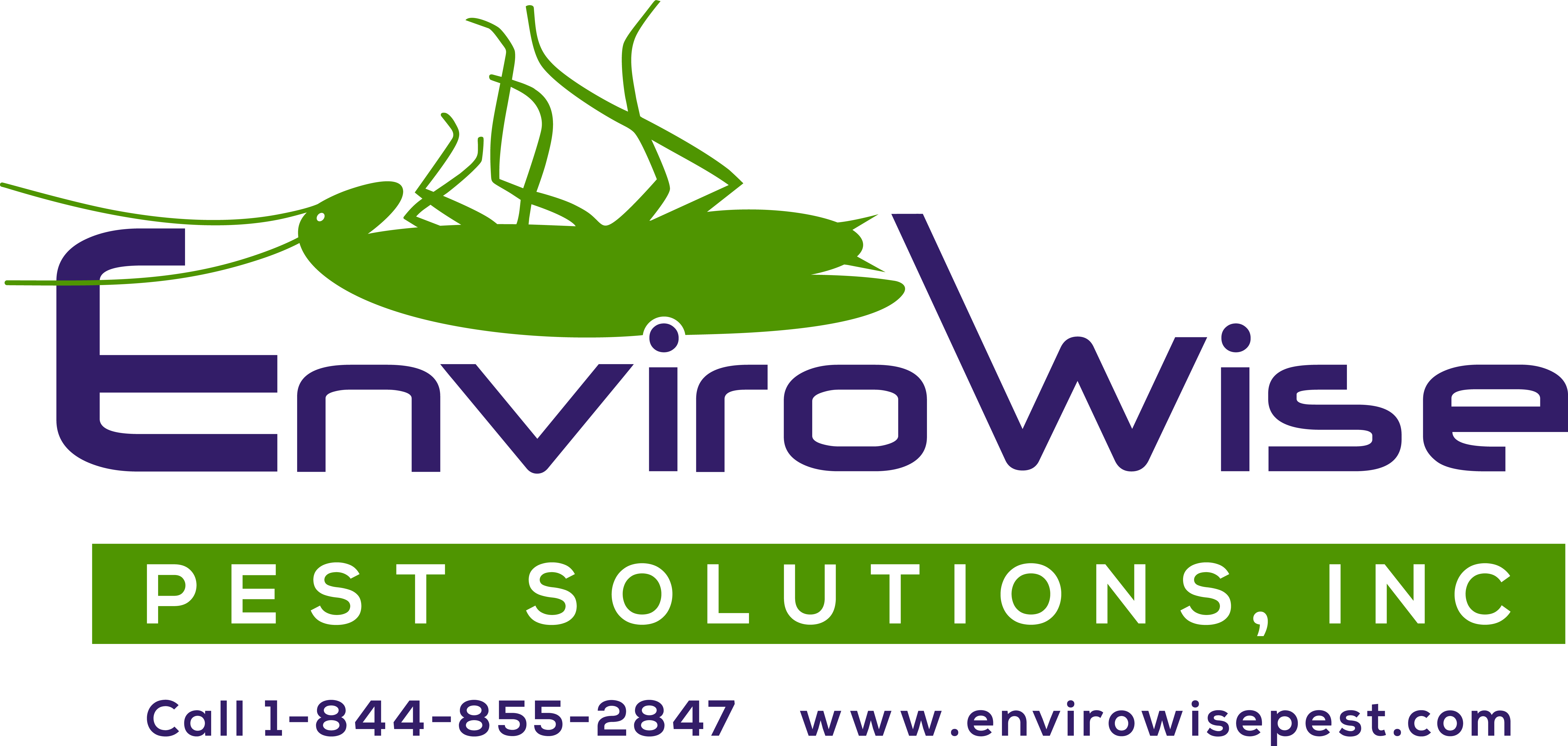 Image alt tag - site title