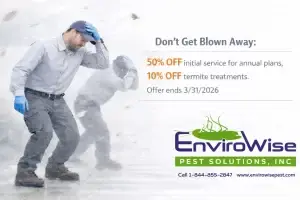 Image alt tag - site title